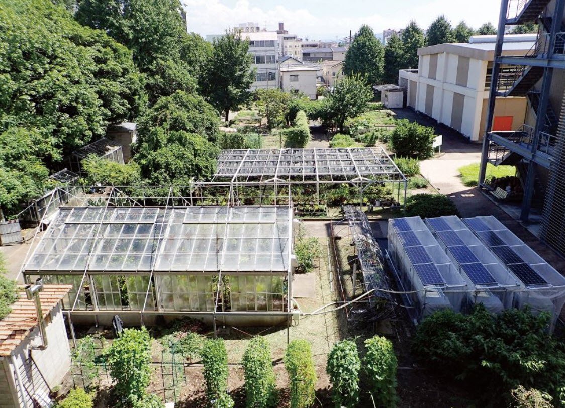 Kanazawa University Medicinal Plant Garden, Japan